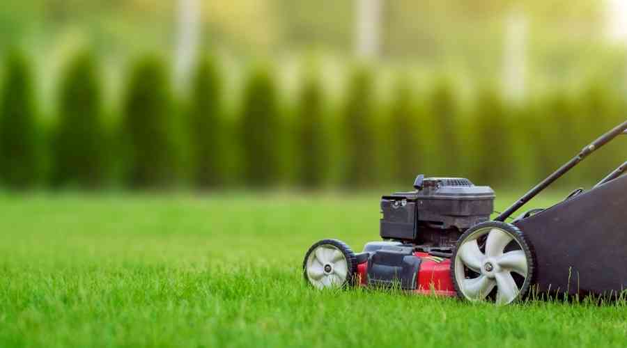 Taking Your Lawn and Landscape to the Next Level in 2019 with These 10 Tips
