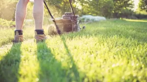 Baton Rouge Mowing Companies: 4 Tips for Hiring the Best Lawn Mowing Service
