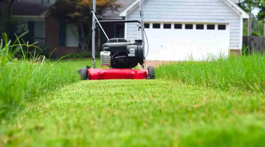 Baton Rouge Mowing Company: Mowing Service for Your Residential Lawn