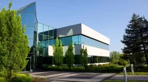 Commercial Landscaping in Baton Rouge: How Trees Can Help Your Property's Value