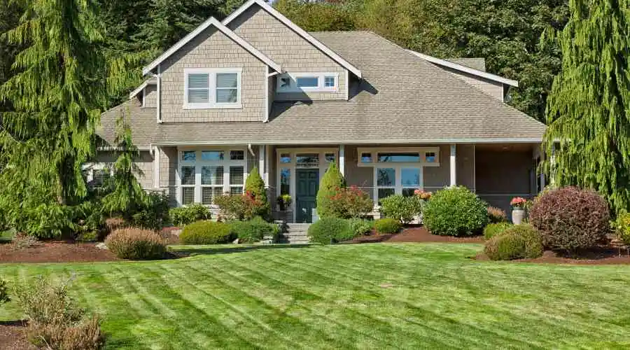 How to Identify and Treat Different Types of Lawn Disease