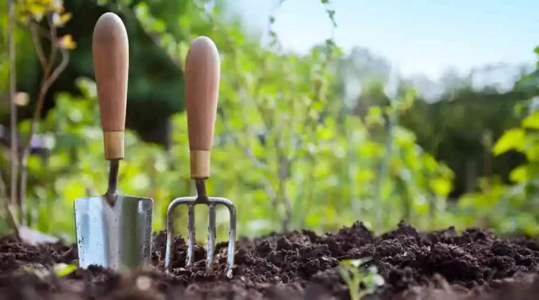 How to Identify and Kill Weeds in Your Garden