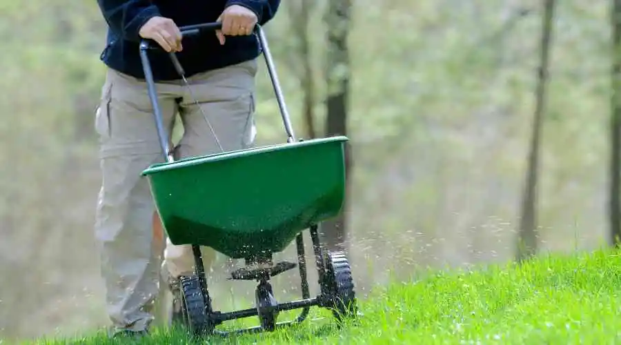 How to Avoid Overwatering Your Landscaping This Spring