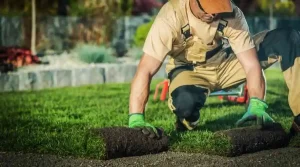 9 Hurricane-Resistant Landscaping Ideas for Baton Rouge