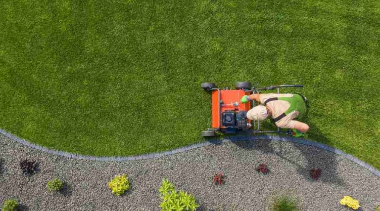 01 - all season yard maintenance