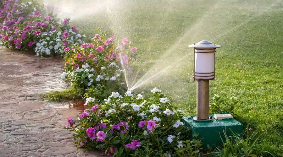 01 - importance of proper irrigation