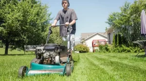 04 - lawn mowing