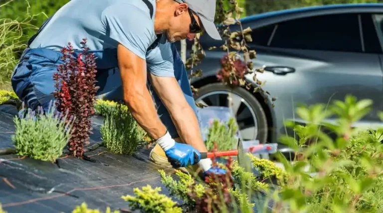 03 - benefits of expert landscapers