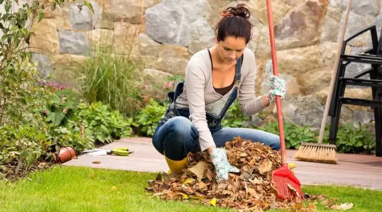 05 - fall landscaping tasks