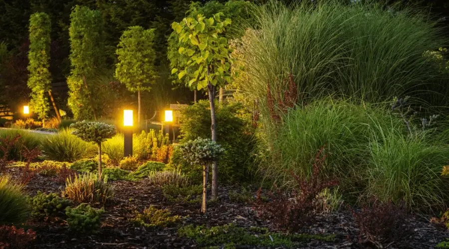 garden lights turned on in dusk