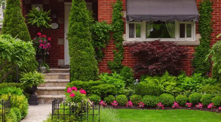 front yard garden